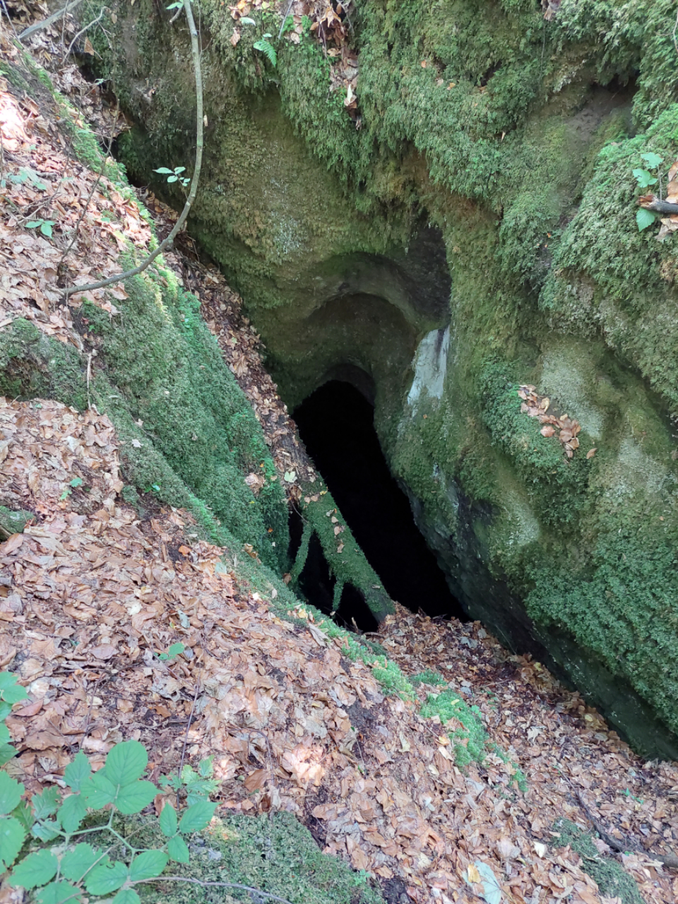 Avenul Pădurarului - Foto: Ghita Iancu